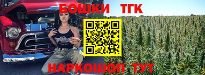 молекула духа Лесной