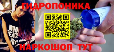 молекула духа Лесной